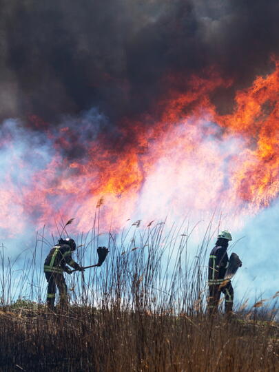 Three firefighters in front of a wildfire