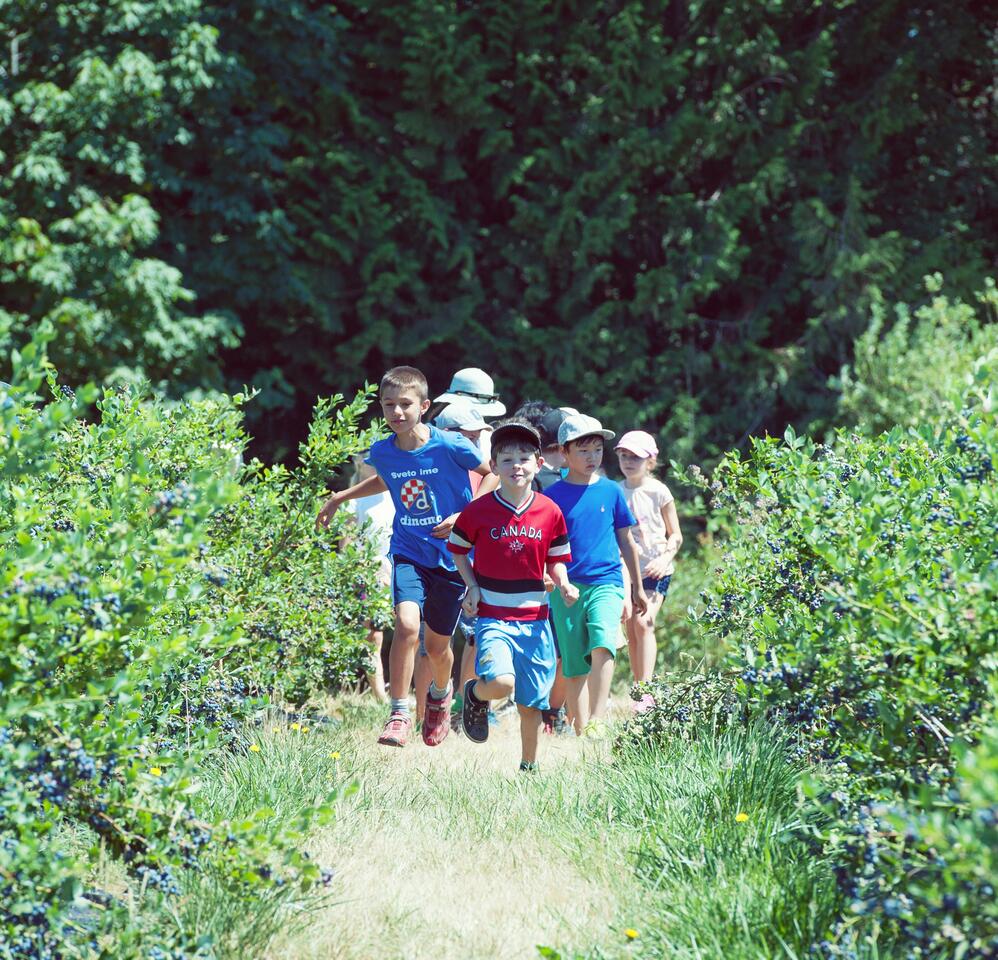 Why it might be time for a treasure hunt
